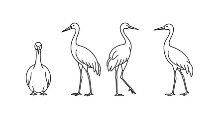 Obraz premium Minimalist crane line art set in various poses on white background