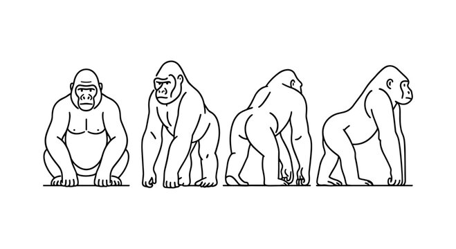 Gorilla outline art in various poses