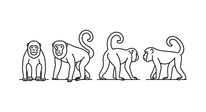 Linear monkey outline set: different poses of monkeys