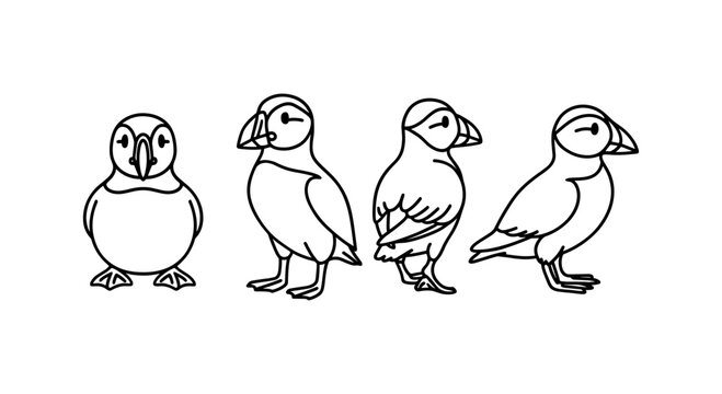 Minimalist puffin outline art: set of puffin bird line drawings for nature designs