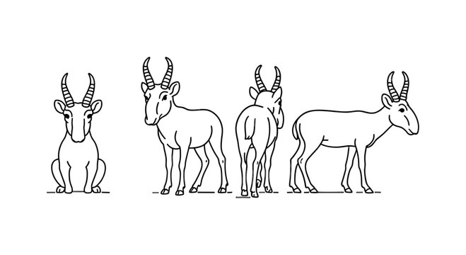 Antelope in multiple poses: front, back and side views in linear design