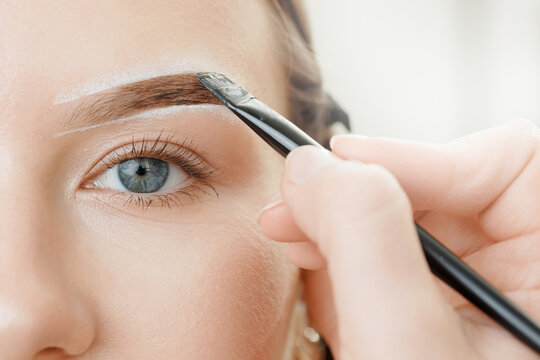 Eyebrow tint, master correction of brow hair women, macro photo