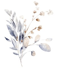 Watercolor bouquet of dried flowers and herbs. Botanical floral illustration. Isolated composition for card, invitation, template and design.