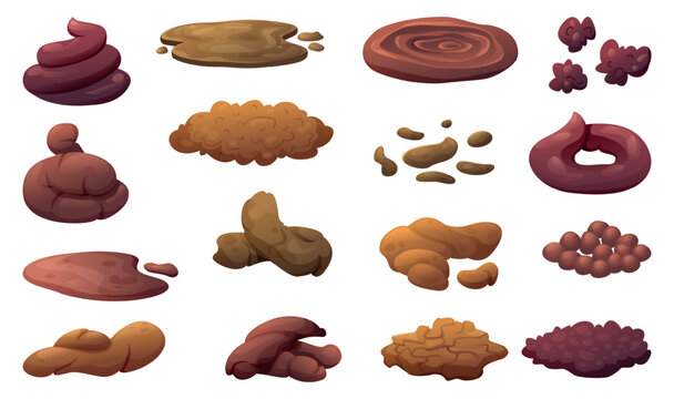 Excrement types. Animal and human poop exact vector cartoon illustration set