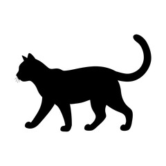Black cat silhouette walking