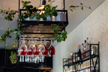 Modern bar interior with hanging glassware and greenery, a vibrant wine display and stylish ambience