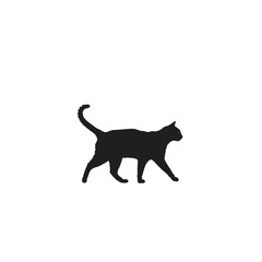 A simple silhouette of a cat walking with its tail up on a white background in a vector illustration