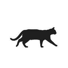 A silhouette of a cat walking with its tail raised on a white background in a simple illustration