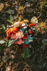 autumn leaves on the ground