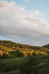 autumn landscape in the mountains