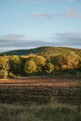 autumn landscape with a lake