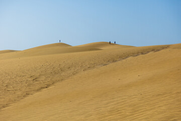 56 - Passeggiare sulle Dune di Maspalomas, Isola Gran Canaria, Spagna