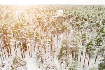 Old observatory tower in the Glen park, in fir forest. Tallinn, Estonia.