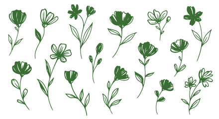 Collection of delicate green floral illustrations with thin stems and simple petals, isolated on