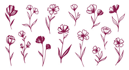 Set of delicate handdrawn floral illustrations with thin stems and petals in deep pink © KAWSAR HAMID PALASH