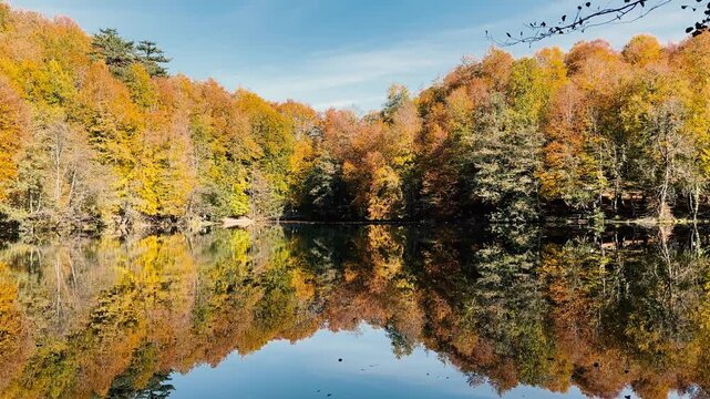 Autumn forest landscape reflection on the water with wooden pier - Autumn landscape in (seven lakes) Yedigoller Park Bolu
