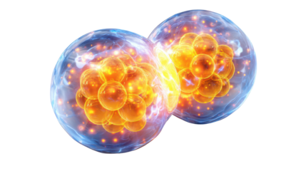 Scientific illustration of glowing biological cell dividing with vibrant nucleus and membrane detail showing mitosis, growth, reproduction and molecular activity on white background