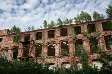 Obraz premium Abandoned red-brick mill facade in Lodz, Poland, with rows of empty windows, broken glass and vegetation growing through the structure, highlighting industrial decay.