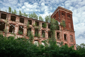 Fototapeta premium Wide view of an abandoned red-brick mill in Lodz, Poland, with repetitive window rows and trees growing through the facade, highlighting industrial decay and heritage.