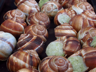 Escargot in a Market
