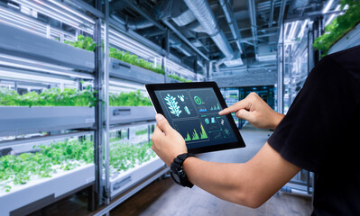 Smart farming argriculture concept.Man hands holding tablet on blurred organic hydroponic vegetable...