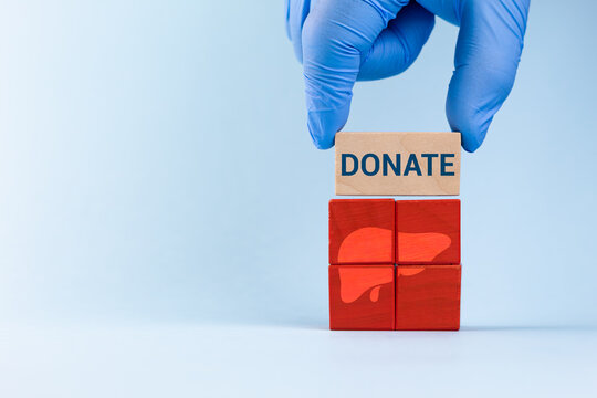 Organ donation awareness, liver donor. A doctor wearing gloves builds wooden cubes with the message Donate and a liver icon on a light blue background.