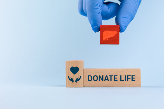 Organ donation awareness, liver donor. A doctor wearing gloves places wooden cubes with a liver icon and the message Donate life against a light blue background.