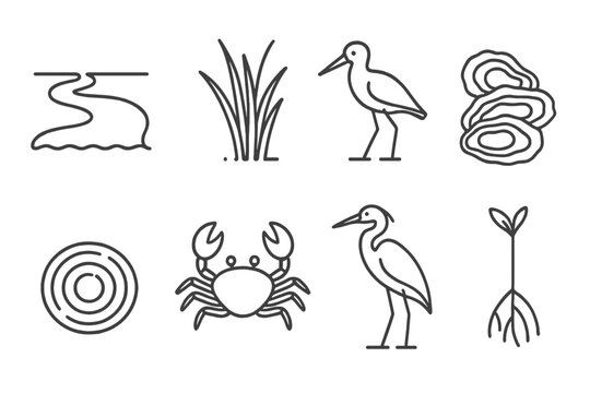 Estuary Line Icons. Line style icons of Estuary: River Mouth, Marsh Grass, Wading Bird, Oyster Bed, Water Ripple, Crab, Heron,