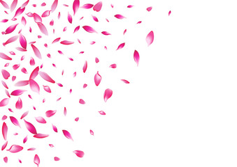 2400x170047__Pink2_01.eps