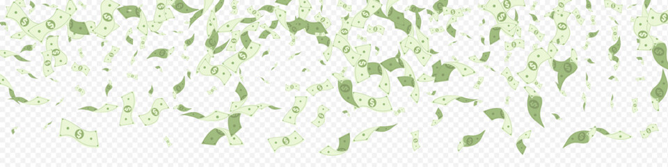 dollar_fly_transparent_panoramic_110.eps