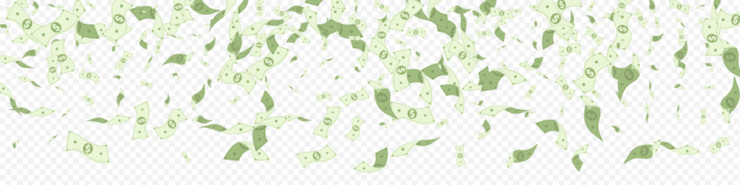 dollar_fly_transparent_panoramic_110.eps