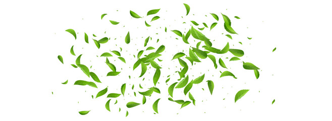 Leaves_Vortex_Flying_Vector_Background_194.eps
