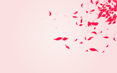 Pink_Petal_Flying_Vector_990.eps
