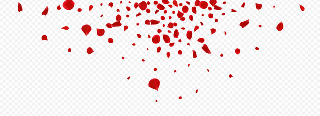 Petal_Vortex_Flying_Vector_Transparent_Background_114.eps