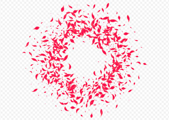 Pink_Petal_Flying_Vector_Transparent_295.eps