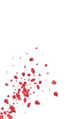 Red_Rose_Petal_Vector_Background_200.eps