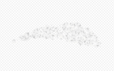 White_petals_transparent_background_293.eps