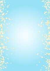 yellow_petals_blue_background_94.eps