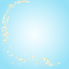 yellow_petals_blue_background_700.eps