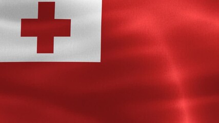 3D-Illustration of a Tonga flag - realistic waving fabric flag.