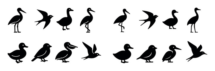 Obraz premium Migratory Birds Icons