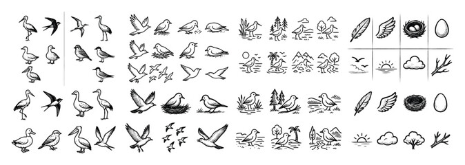 Fototapeta premium Bird sketches: nature and wildlife icons