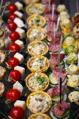 Gourmet Buffet Catering Appetizers Variety