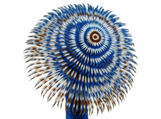 Detailed macro photography of a vibrant blue and white marine tube worm, its feathery crown creating a perfect, intricate spiral pattern isolated on a black background