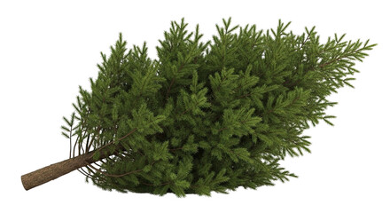 A realistic cut evergreen fir tree with lush green needles and a brown trunk, lying on its side and isolated against a solid black background for easy compositing