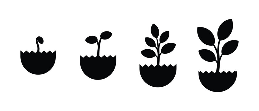 Plant growth stages icon set, Seedling sprout development process