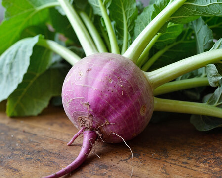 Fresh purple kohlrabi with green leaves on wooden surface, earthy and rustic mood, representing root vegetable and seasonal harvest, against a warm wooden backdrop - Powered by Adobe