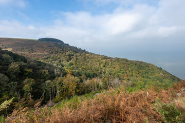 Photo of the autumn colours at Glenthorne in Exmoor National Park