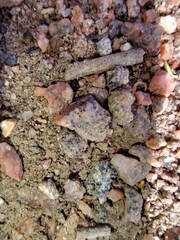 rocks on ground 