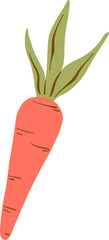 Doodle Style Carrot Illustration